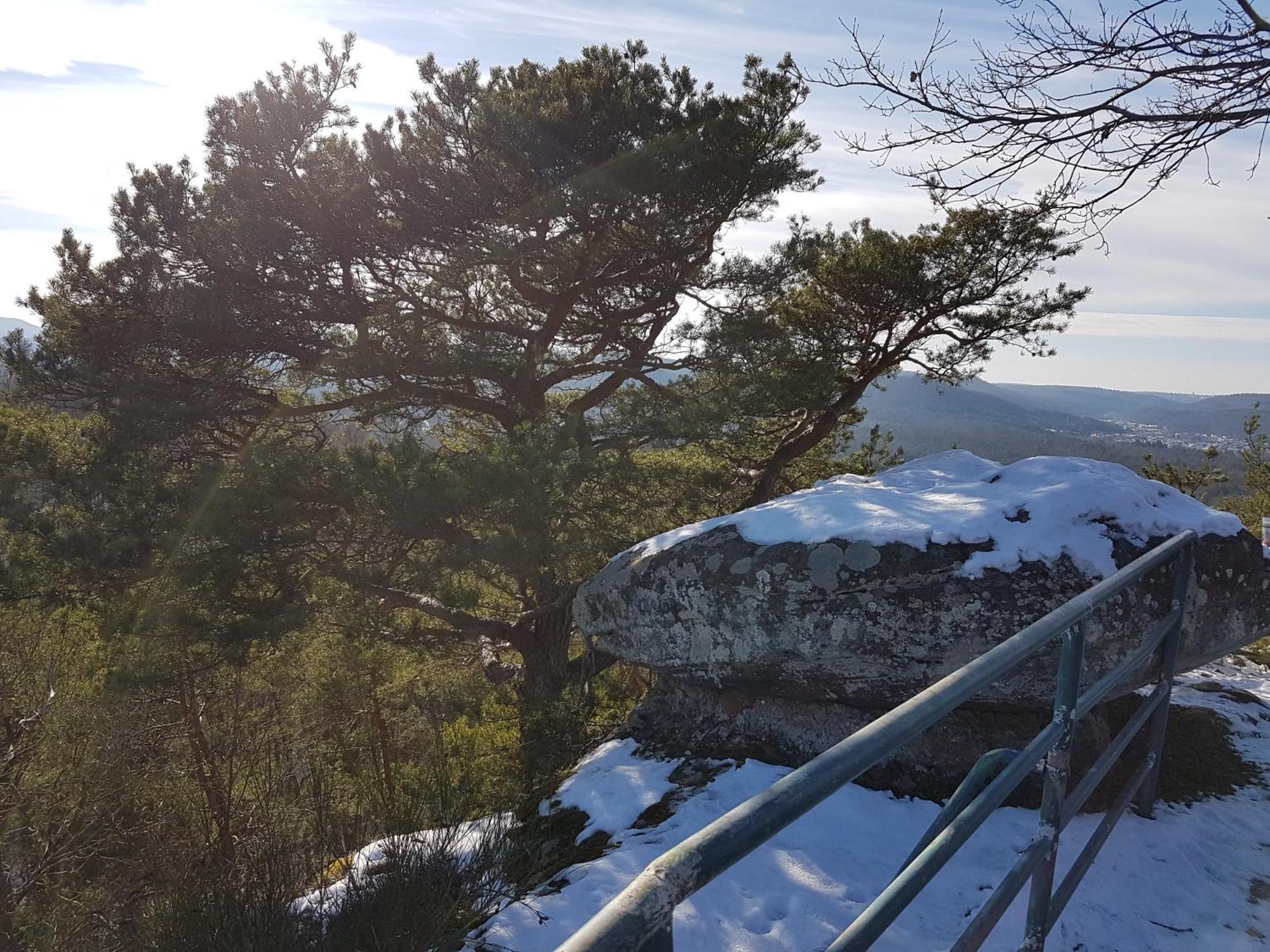 Ferienwohnung Waldliebe Hinterweidenthal エクステリア 写真
