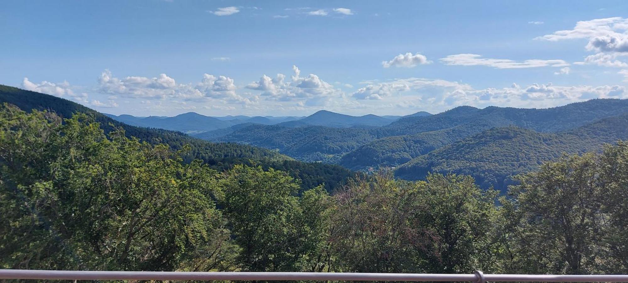 Ferienwohnung Waldliebe Hinterweidenthal エクステリア 写真