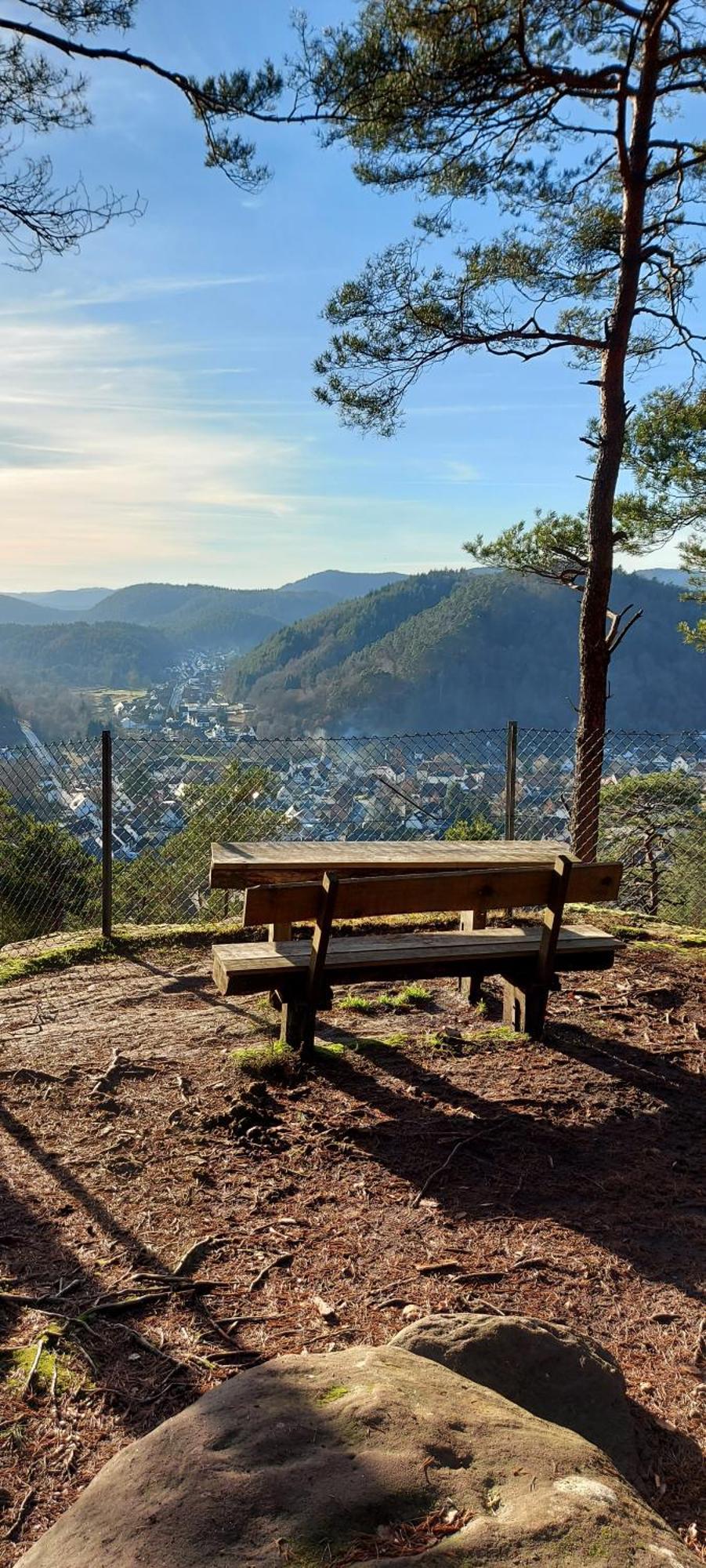 Ferienwohnung Waldliebe Hinterweidenthal エクステリア 写真